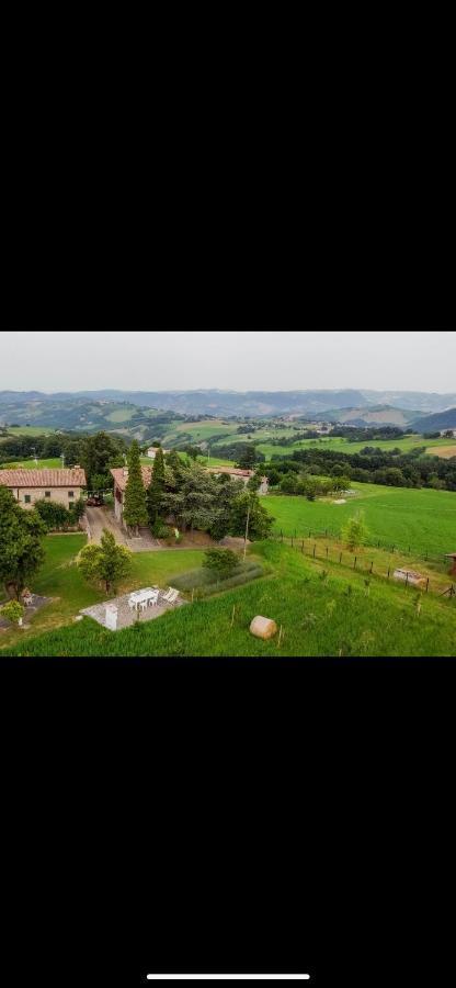 La Baita Nei Boschi Villa Serramazzoni Exterior photo